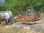 Gužve oko pečenog vola i točilice za pivo